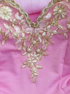 Ballet Dance Costume Tutu Rose Robe Bretelles Brodé Robes Ballerine Déguisements Halloween