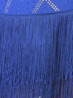 Costume De Danse Latine Manches Longues Robe Fendue Robe Lycra Spandex Bleu Royal Pour Femmes Vêtements De Danse