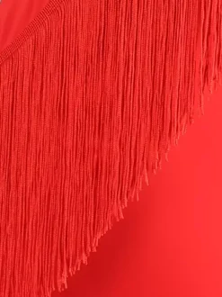 Costume de danse latine rouge Ture robe en Lycra et Spandex pour femmes Costume de danse latine élégant à franges