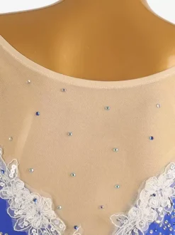 Costumes de danse de salon bleu royal femme col bijou Lycra Spandex robe fleurs robe de danse