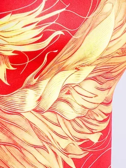 Costumes de danse rouge pour femmes ensemble de vêtements de danse de style chinois à col haut de jazz