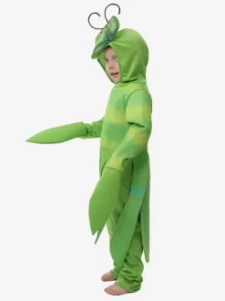 Costumes Halloween Enfants Manta Verte Déguisement