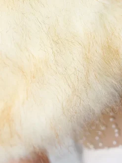 Couverture de mariage en fausse fourrure  hauts beiges  couverture de mariée
