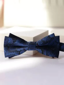 Cravate N艙ud Pour Homme En Polyester Imprimé Vintage Cool