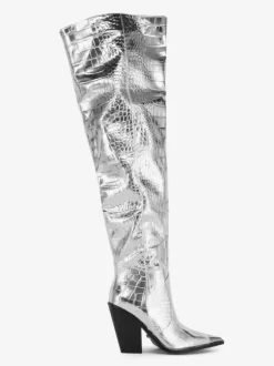 Cuissardes Argentées Femmes Bout Pointu Talon Épais Bottes Hautes