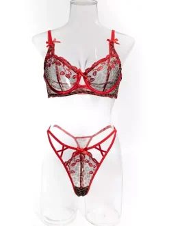 Ensemble 2 pièces de lingerie transparente rouge à imprimé léopard avec soutien-gorge et culotte