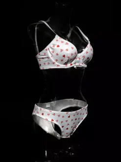 Ensembles 2 pièces de lingerie de mariée à motif c艙urs : soutien-gorge et culotte blancs.