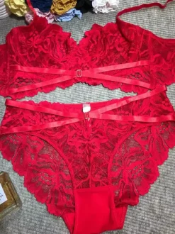 Linge de Mariée Lingerie De Mariée Soutien-gorge Culotte En Dentelle Sous-vêtements Pour Femmes