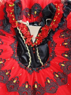 Robe de Ballet rouge fille adulte ballerine strass fleurs dentelle Polyester robe ensemble vêtements de Performance