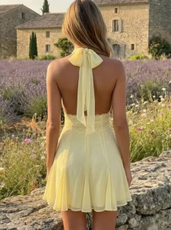Robe de soirée mini en mousseline plissée dos nu décolleté plongeant en V et dentelle collection femme 2026