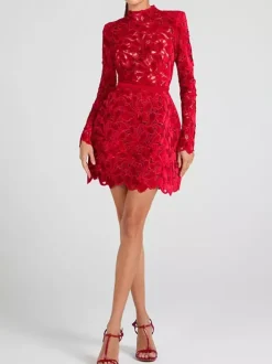 Robe en dentelle à col haut et manches longues pour fête d'anniversaire mini robe de printemps pour femmes 2026