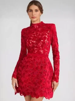 Robe en dentelle à col haut et manches longues pour fête d'anniversaire mini robe de printemps pour femmes 2026