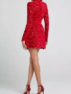 Robe en dentelle à col haut et manches longues pour fête d'anniversaire mini robe de printemps pour femmes 2026