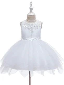 Robe fille de fleur champagne en tulle col rond décoré des perles robe fille cérémonie