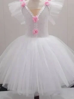 Robe de Ballet rose fille enfant ballerine strass dentelle dentelle Polyester robe ensemble vêtements de Performance