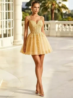 Robe de bal vert sauge robe midi en tulle et dentelle appliquée bretelles spaghetti décolleté c艙ur coupe trapèze robe de soirée courte bleu poudré