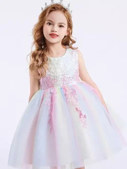 Robe de fille de fleur col rond en dentelle jupe en tulle noeud sur dos à zip robe cortège enfant