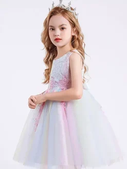 Robe de fille de fleur col rond en dentelle jupe en tulle noeud sur dos à zip robe cortège enfant