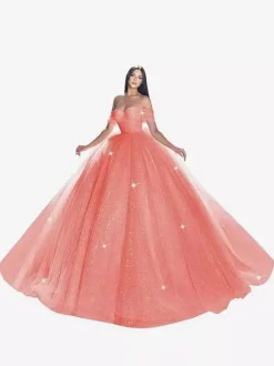 Robe de mariée princesse en dentelle à paillete bustier hors des épaules au sol