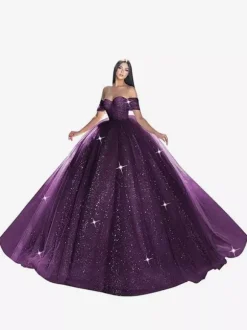 Robe de mariée princesse en dentelle à paillete bustier hors des épaules au sol