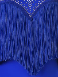Robes de danse latine Ensemble de femmes bleu royal Lycra Spandex Dress Dancing Wear