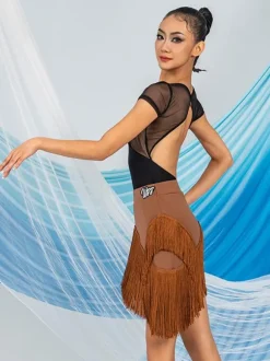 Robes de danse latine marron café jupe en Polyester pour femmes haut transparent élégant à franges Costume de danse latine
