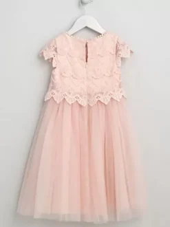 Robes de demoiselle d'honneur de mariage Robes d'occasion spéciale Rose pâle Manches courtes Dentelle
