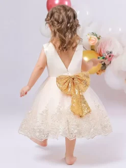 Robes de fille de fleur blanche robes d'occasion spéciale dentelle bleu royal sans manches col bijou robes de fille de fleur
