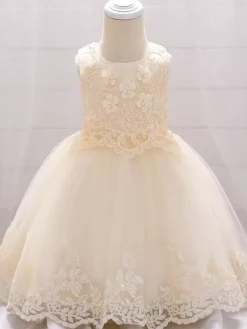 Robes de demoiselle d'honneur blanches robes d'occasion spéciale dentelle Champagne sans manches col bijou robes de demoiselle d'honneur