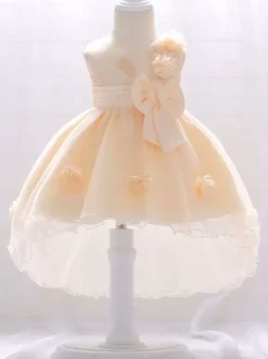 Robes de fille de fleur blanche Champagne Tulle sans manches bijou cou robes de fille de fleur