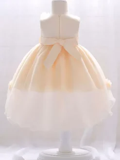 Robes de fille de fleur blanche Champagne Tulle sans manches bijou cou robes de fille de fleur