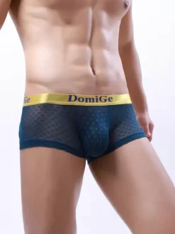 Slip Sous-Vêtement Athlétique Pour Homme En Nylon Transparent