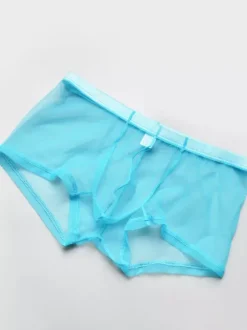 Sous-vêtements Lingerie Homme Lingerie Homme Sexy Culotte Transparente Ture Rouge Lingerie