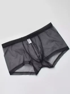 Sous-vêtements Lingerie Homme Lingerie Homme Sexy Culotte Transparente Ture Rouge Lingerie