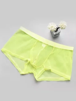 Sous-vêtements Lingerie Homme Lingerie Homme Sexy Culotte Transparente Ture Rouge Lingerie