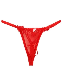String Femmes Sexy 2026 en dentelle Coeurs en Nylon Dos T