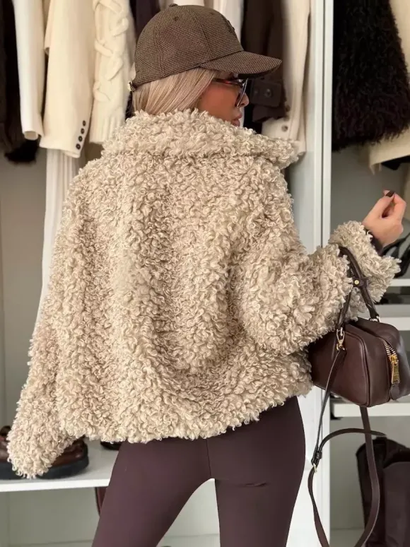 Veste polaire Teddy manteau boutonné en fausse fourrure bouclée pour femme 2026